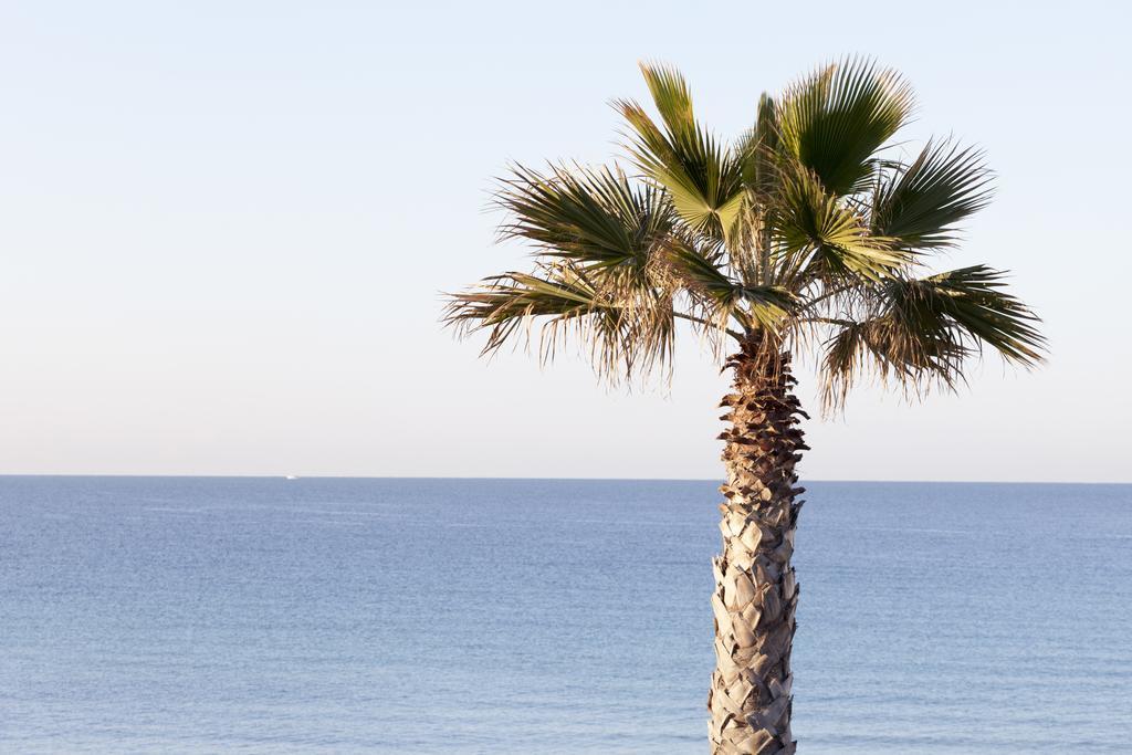 Sud Beach Hotel Fronte Mare By Ria Hotels Marina Di Pulsano Ruang foto